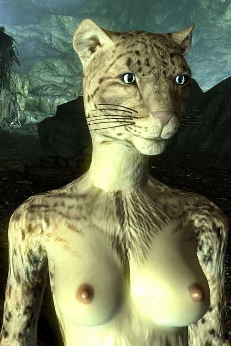 The Elder Scrolls Skyrim Hentai Du Sexe En Attendant Le Six